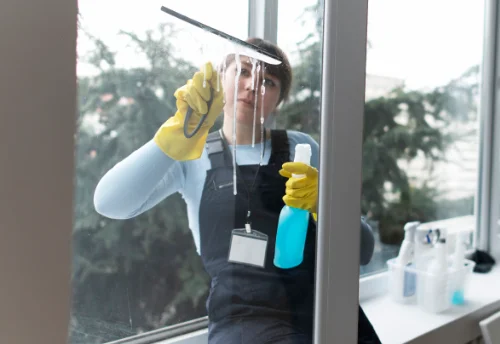 Nettoyage de vitres intérieures et extérieures à Ouzous
